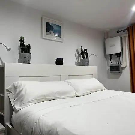 Little Grupo Ac Gestion *